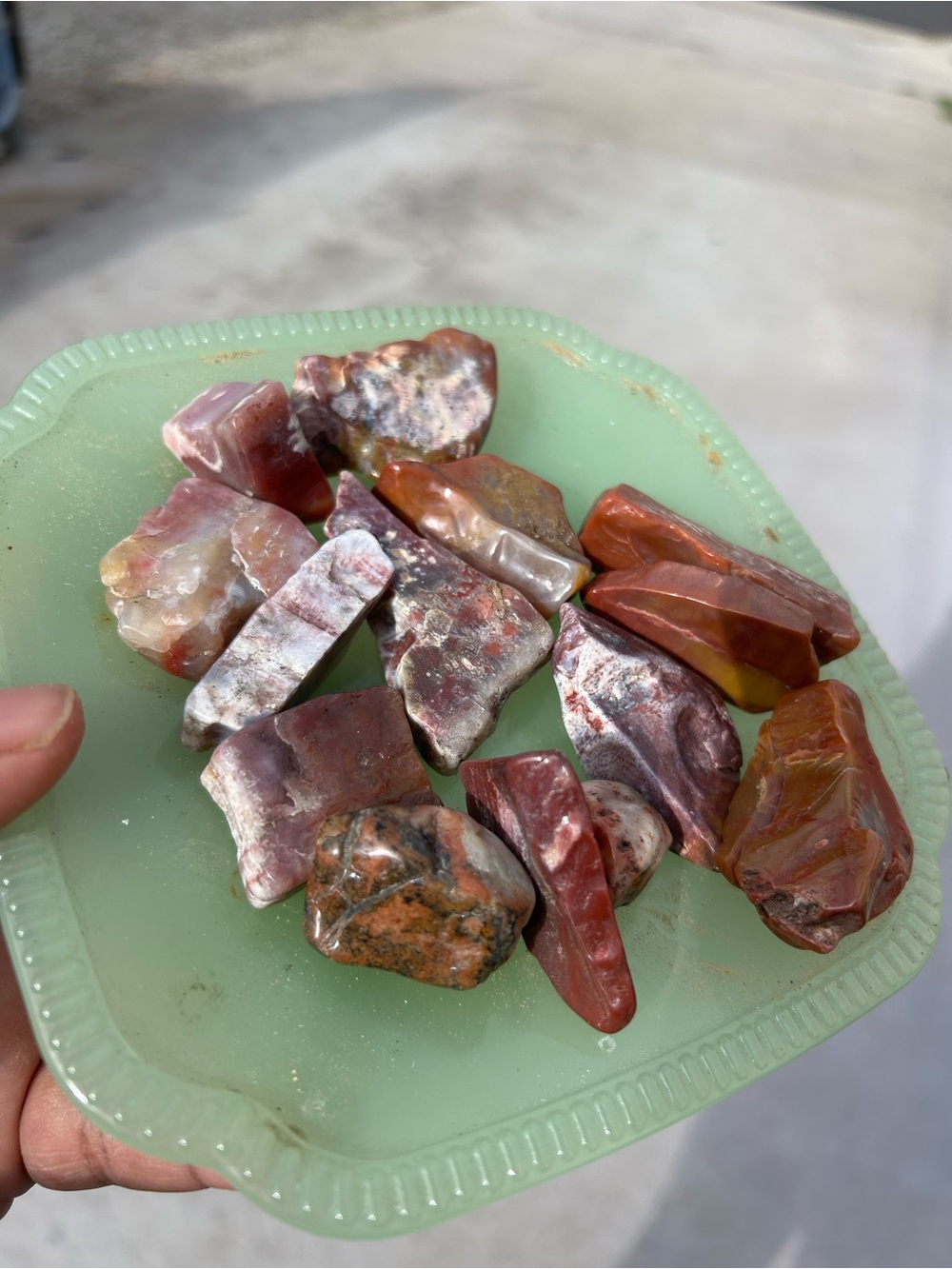 1 lb tumbled and polished rainbow petrified wood and bubblegum agate